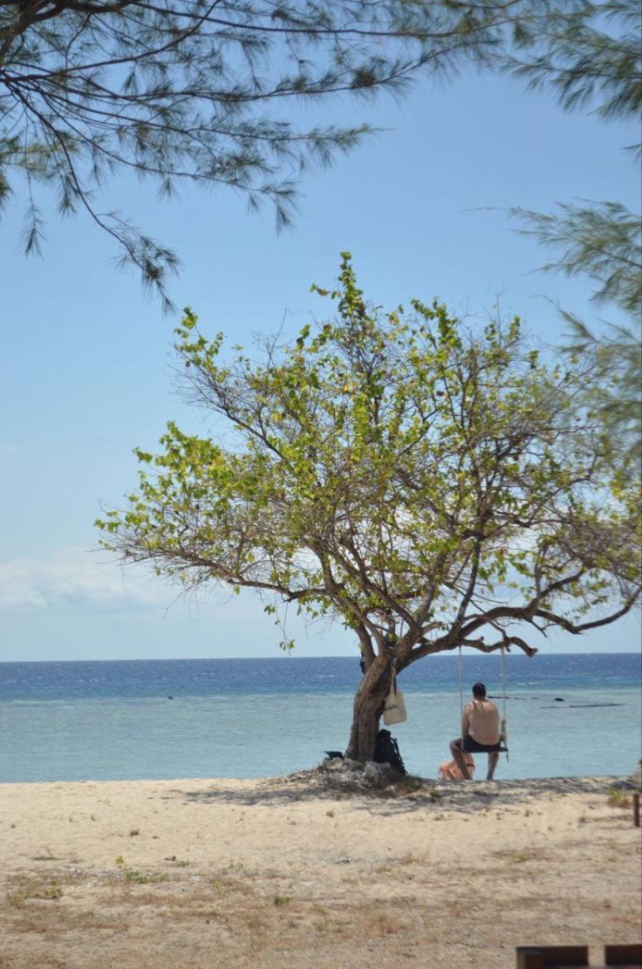 Mimpi Bungalow Gili Meno Extérieur photo