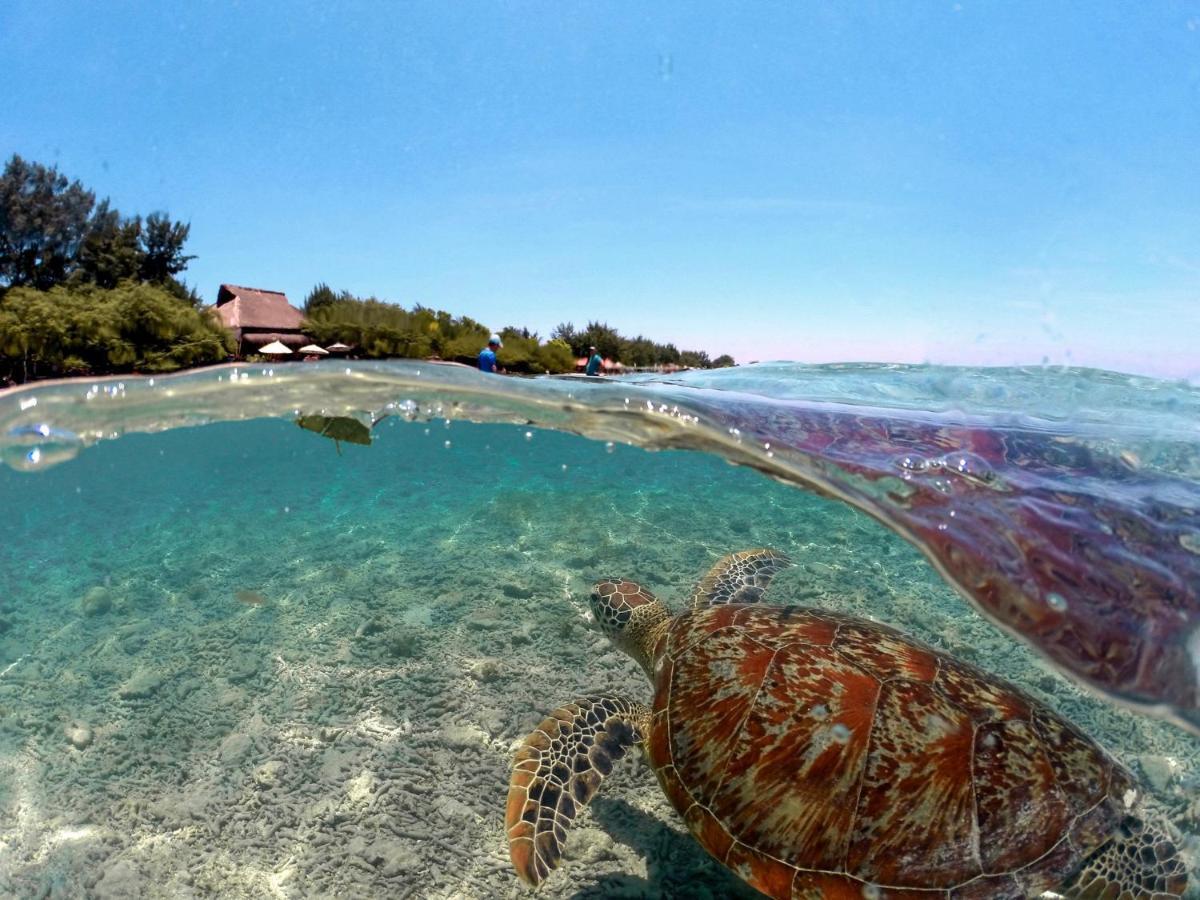 Mimpi Bungalow Gili Meno Extérieur photo